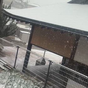 何年振りかの雪の画像