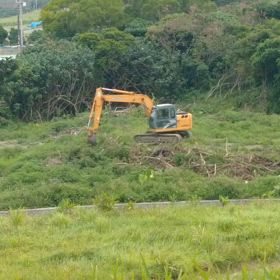 見てて飽きない…ですの画像