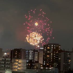 消えた命の画像