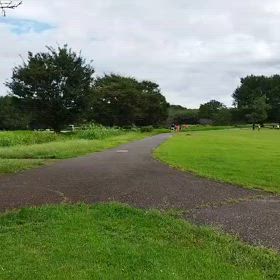 ハイレベ練習（300インターバル）③の画像