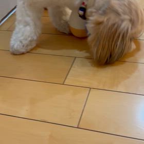 知育玩具の画像