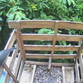 すぎぴたんの事件簿シーズン3　539話（おつかれさまでーーーす。親ヤマガラ）の画像