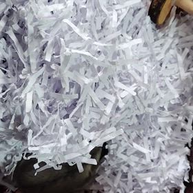 小さいはなちゃんの画像