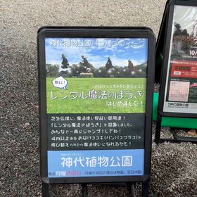 魔法のほうきの画像