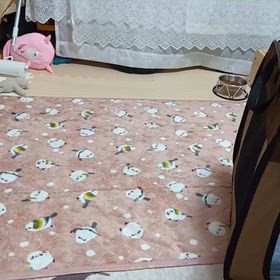 ラッキーは、元気に、なりましたの画像