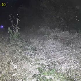 すぎぴたんの事件簿シーズン3　454話（レストラン畑の訪問者！）の画像