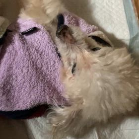 寝とくれよの画像