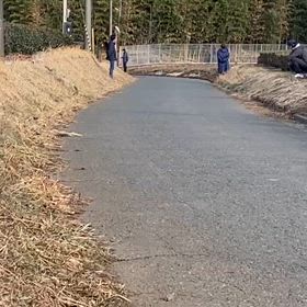 1/28坂ダッシュ（ゴール手前）⑩の画像