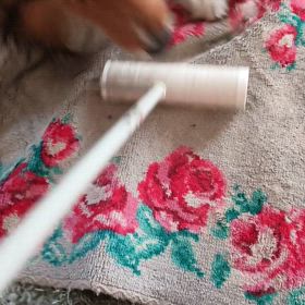 邪魔しないでくださいの画像