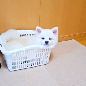 やっぱりここが好きの画像