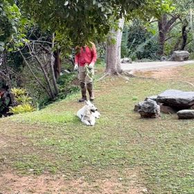 何でもない日が…、特別な日なんだな…の画像