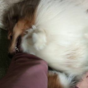 分からないことは  、専門家に聞こう！の画像