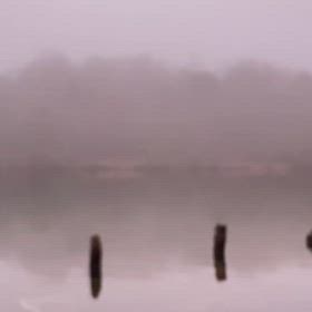 くろんど池の画像