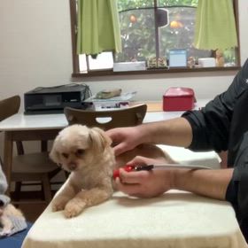 メディセル＆キセノン光ケアの画像