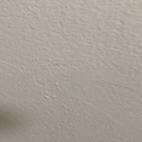 まろのルーティンの画像