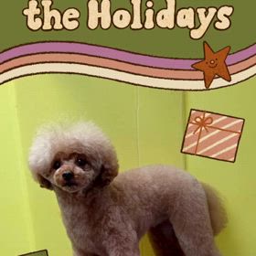 DOGXDOG  ひめちゃんの画像