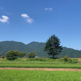 いい天気の画像