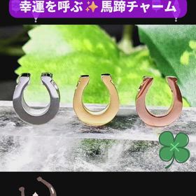 ✨馬蹄ステンレスパーツ✨の画像