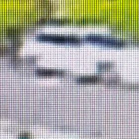 知らんぷり！の画像