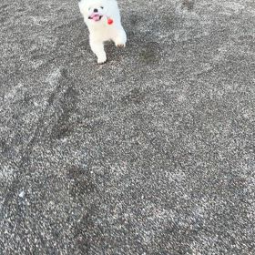 射手座満月の画像