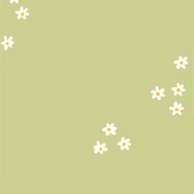 DOGXDOG こはるちゃんの画像