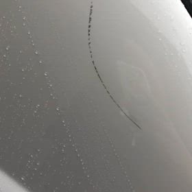 庭に置いてるのにの画像