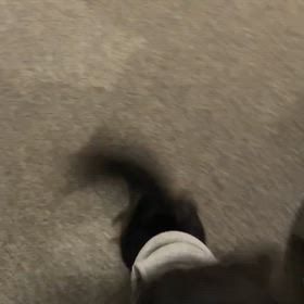 まめたの歓迎の画像