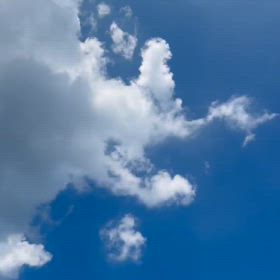 まだまだ！！！！楽しませてくれます！の画像