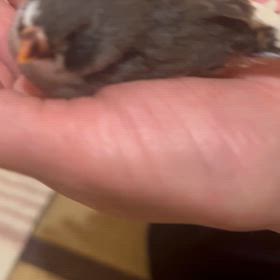 慣れ具合に自信ありっ‼︎の画像