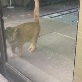 2024/06/29今週のハナの画像