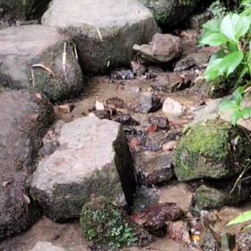 3ヶ月に一度の日の画像