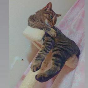 我が家の経済改革の画像