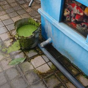 あたたか〜の画像