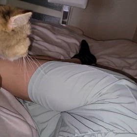 日常動画の画像