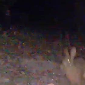 すぎぴたんの事件簿シーズン3　620話（気になるゥ~サギ。　何が見える？Σ(ﾟ∀ﾟﾉ)ﾉｷｬｰ）の画像