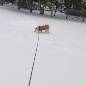 又積りました。の画像