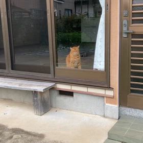 2024/09/28今週のハナの画像