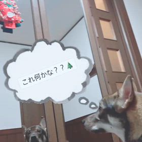 もうすぐクリスマス↟.｡*･.｡*･Christmas is almost here.の画像