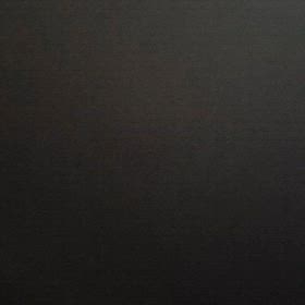 サルビアの花の画像