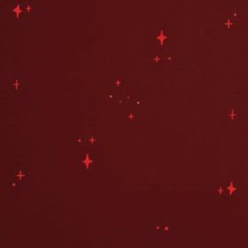 DOGXDOG こころちゃんの画像