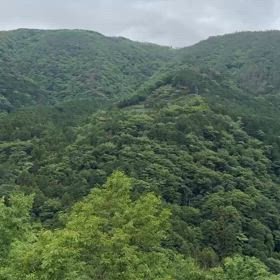 雨の合間にの画像