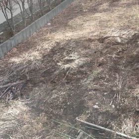 2025.04.12〜2025.04.13の画像