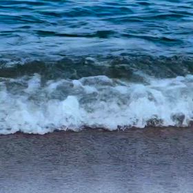 二度と同じものがないからの画像