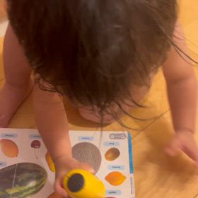1歳タッチディクショナリーも少しずつできるようにの画像