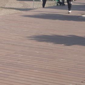 秋じゃなく春的の画像