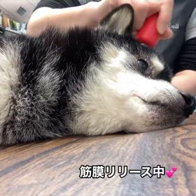 2025/03/13の画像