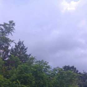 今日も又　雷が✧\(>o<)ﾉ✧の画像