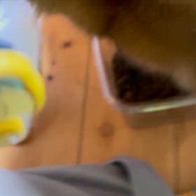 マロさんとクワちゃんを添えての画像