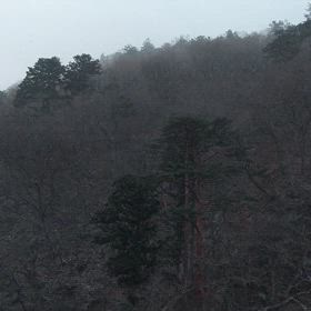 雪が降っていますの画像