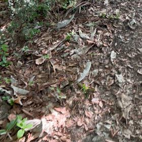 ただいま山頂です、の画像